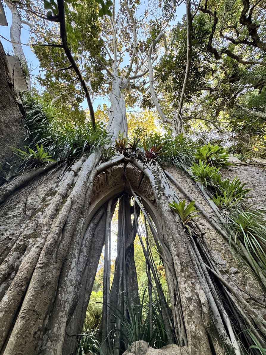 Montserrat Garden Ruins