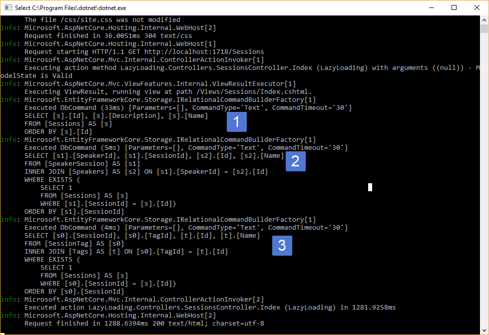 console output with db queries