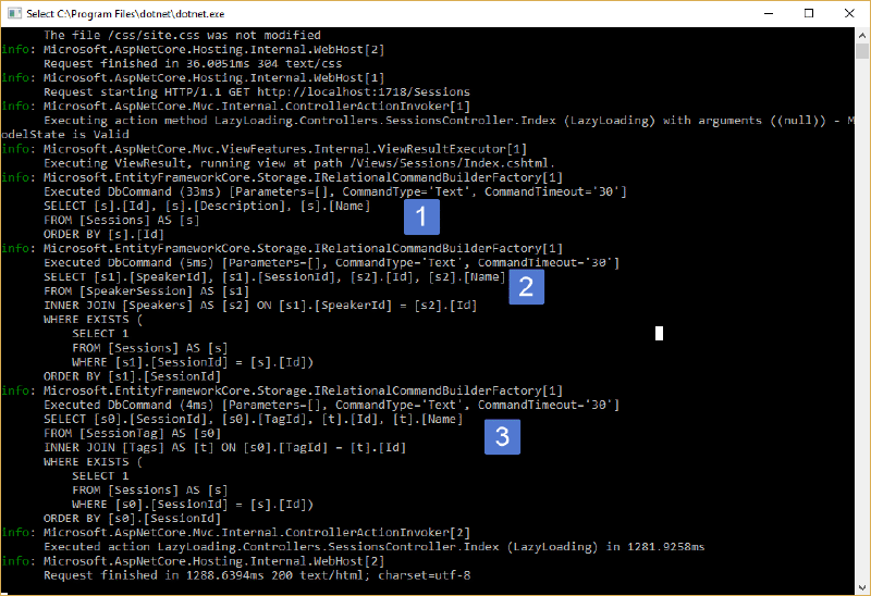 console output with db queries