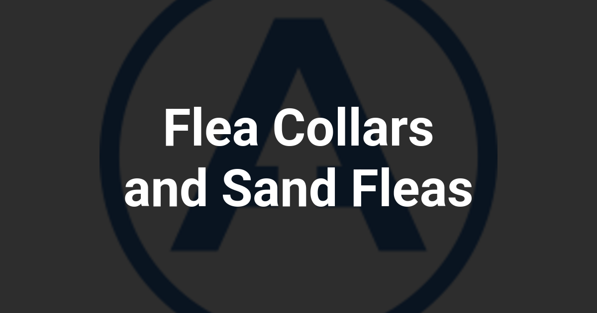 Flea Collars and Sand Fleas