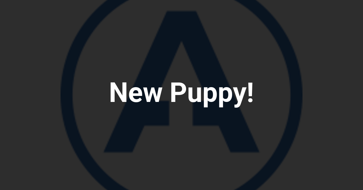 New Puppy!